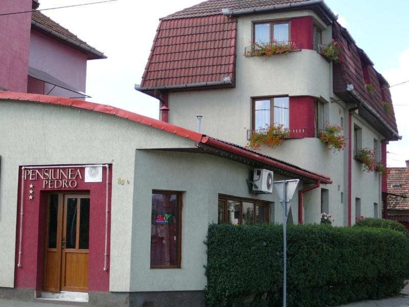 Pensiunea Pedro Cluj-Napoca Exterior photo